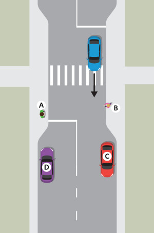 एकाधिक खतरे — New Zealand Road Code illustration