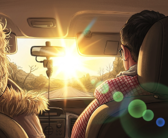 Sun strike / glare reduces visibility.