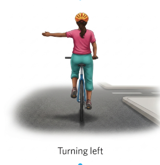Cyclist hand signal: left turn.